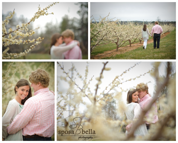 chattooga belle farm weddings_0001.jpg