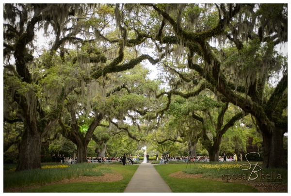 greenville sc wedding photographer brookgreen gardens_0027.jpg