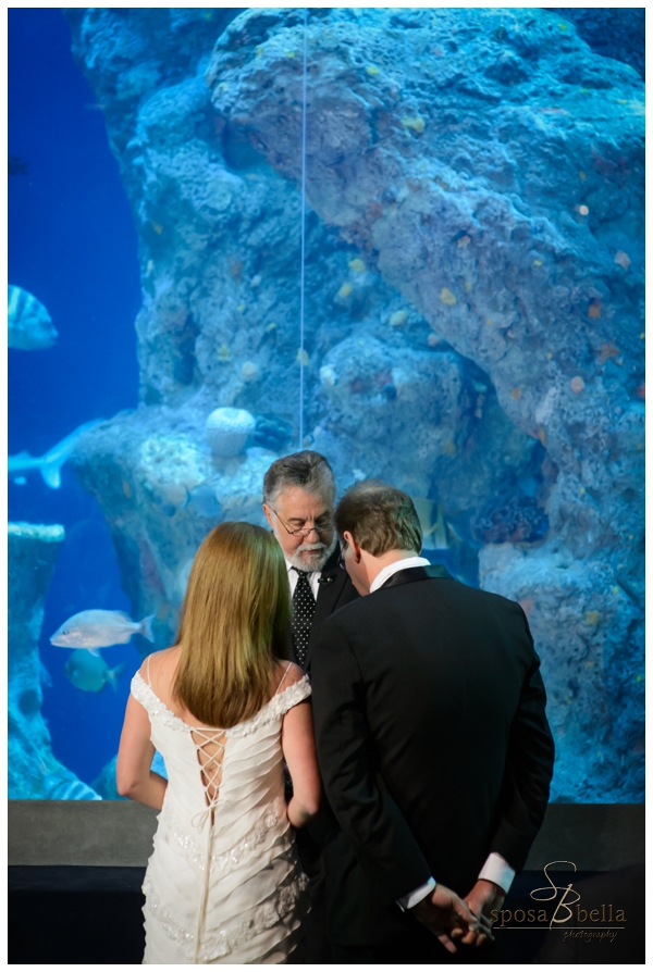 greenville sc wedding photographer charleston sc aquarium_0024.jpg