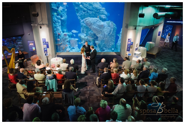 greenville sc wedding photographer charleston sc aquarium_0025.jpg