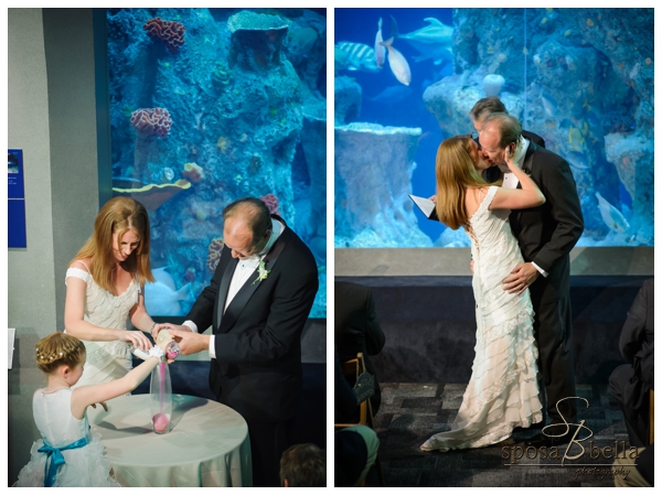 greenville sc wedding photographer charleston sc aquarium_0026.jpg