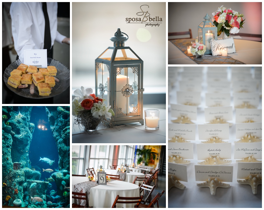 greenville sc wedding photographer charleston weddings south carolina aquarium_0127.jpg