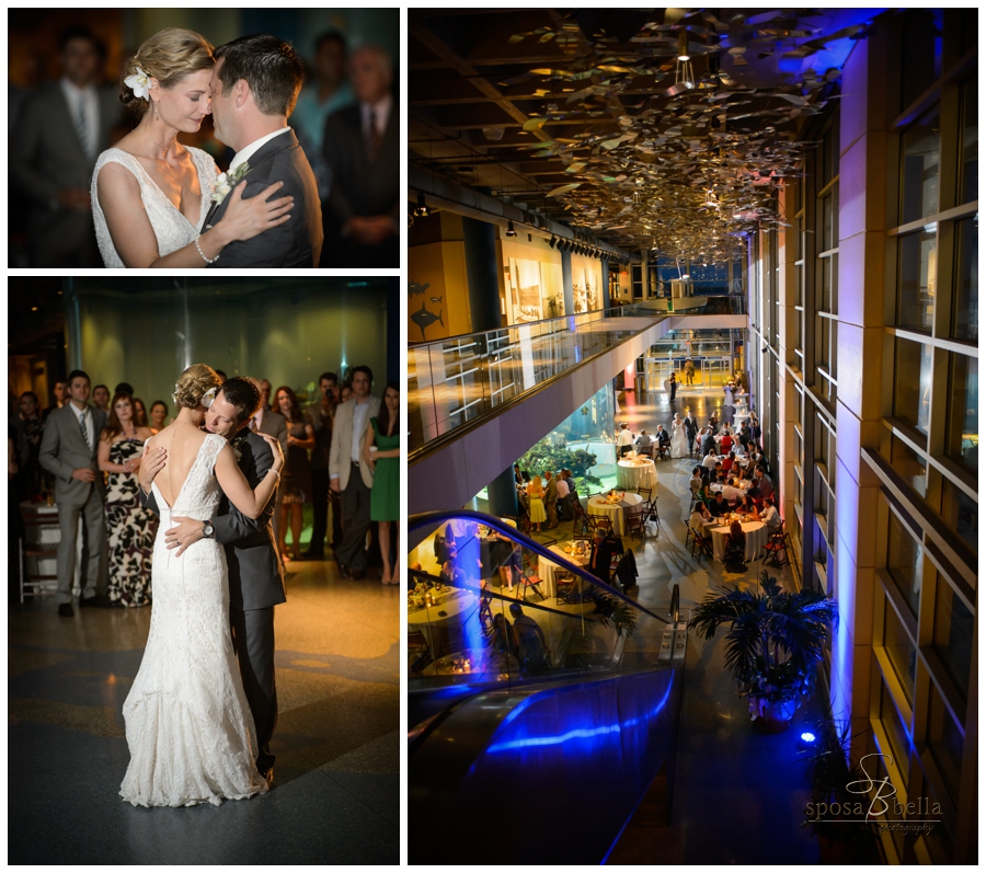 greenville sc wedding photographer charleston weddings south carolina aquarium_0129.jpg