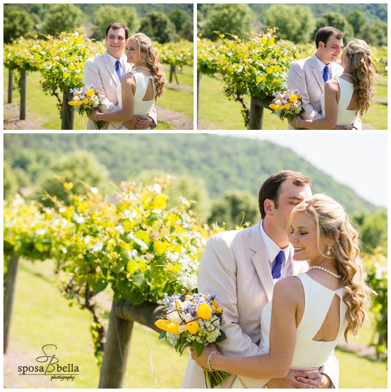 greenville sc wedding photographer wedding at cliffs at keowee vineyards_0059.jpg