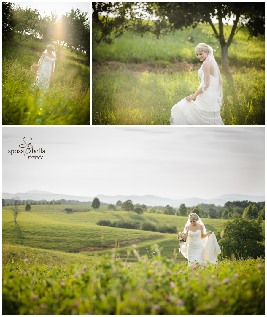 greenville sc wedding photographer chatoogga belle farm weddings_0292.jpg