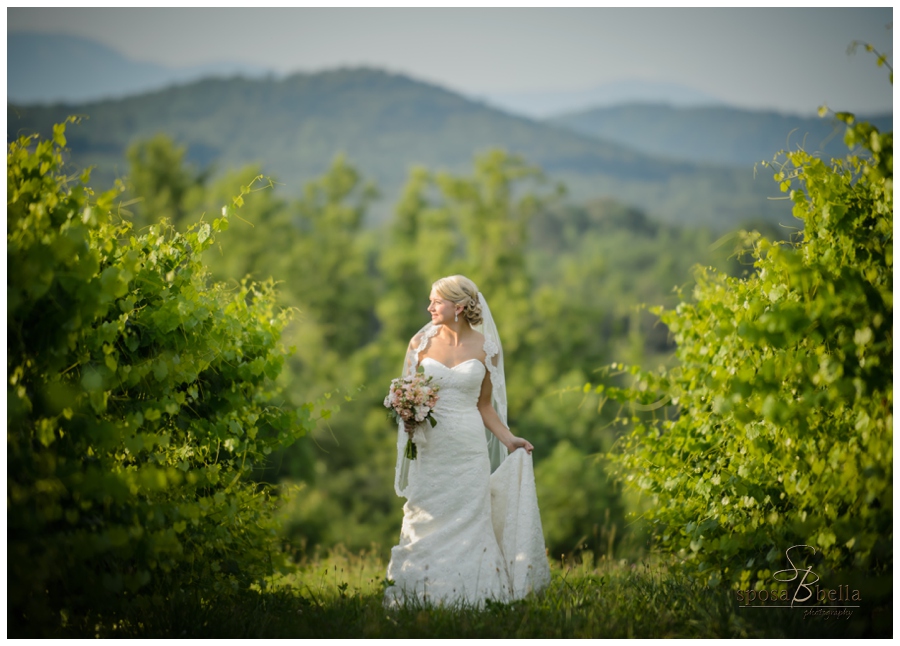 greenville sc wedding photographer chatoogga belle farm weddings_0294.jpg