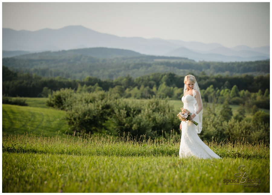 greenville sc wedding photographer chatoogga belle farm weddings_0297.jpg