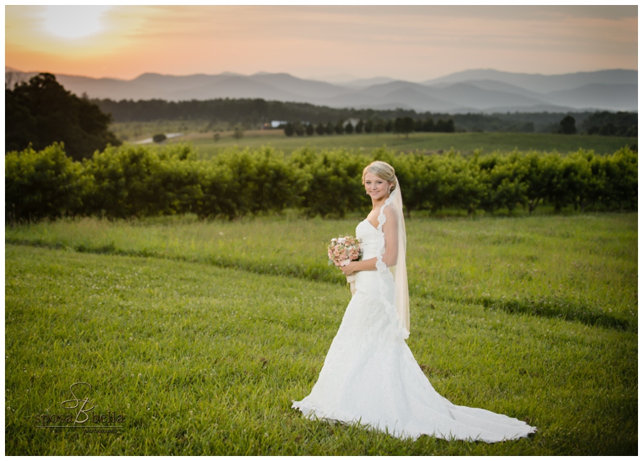 greenville sc wedding photographer chatoogga belle farm weddings_0298.jpg