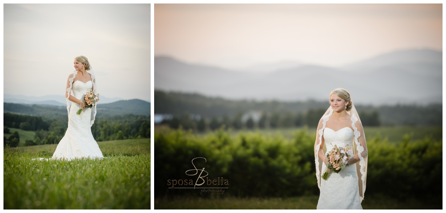 greenville sc wedding photographer chatoogga belle farm weddings_0300.jpg