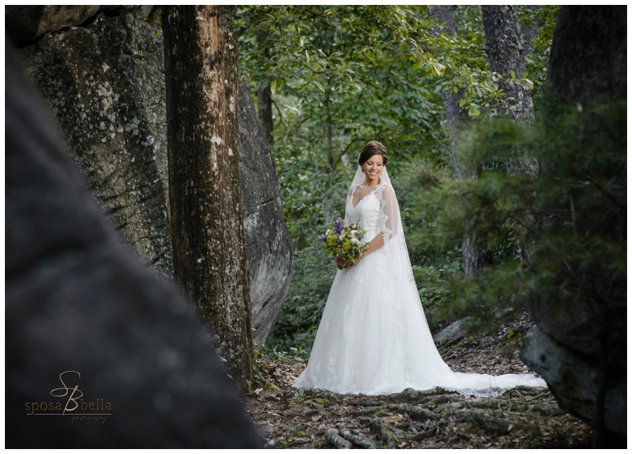 greenville sc wedding photographer photographers chau ram park chattooga belle farm weddings_0425.jpg