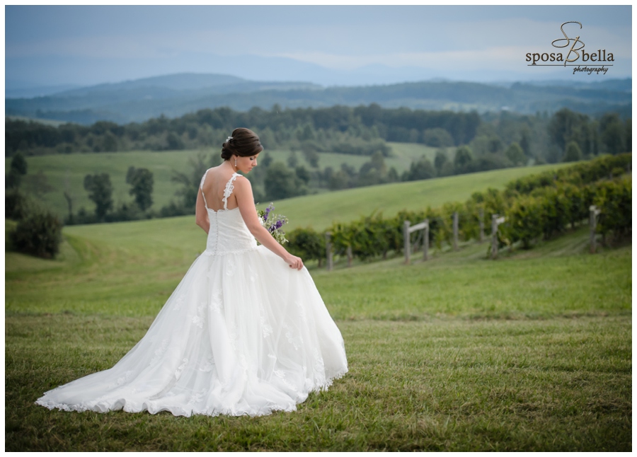 greenville sc wedding photographer photographers chau ram park chattooga belle farm weddings_0430.jpg