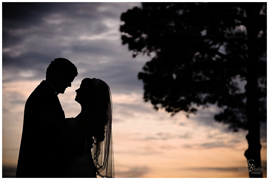 greenville sc wedding photographers photographer engagement portrait session_0708.jpg