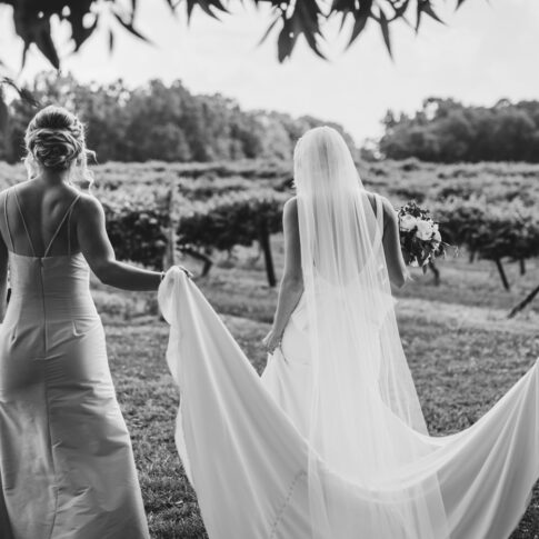 Bride and her bridesmaids walking to the wedding ceremony in a vineyard.