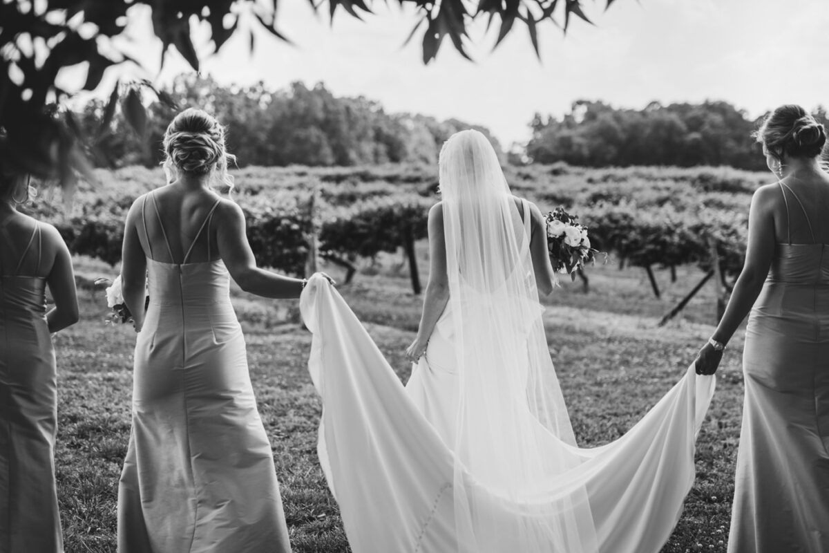 Bride and her bridesmaids walking to the wedding ceremony in a vineyard.