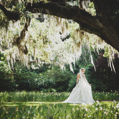 A bride stands under an oak tree draped with Spanish moss.