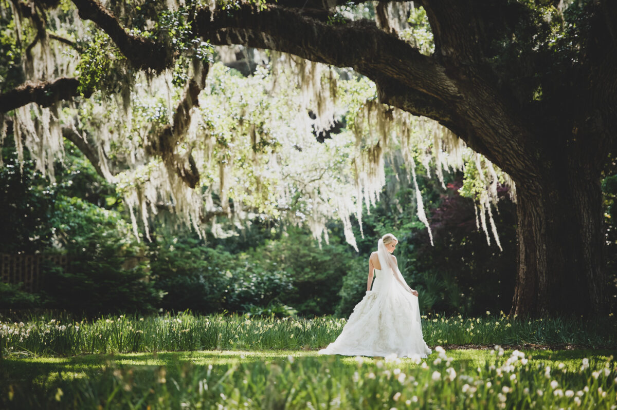 A bride stands under an oak tree draped with Spanish moss.