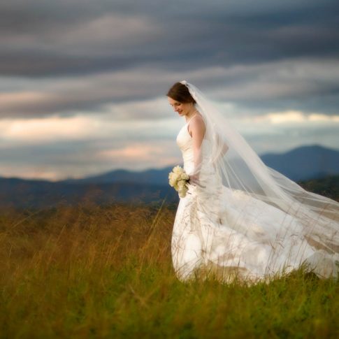 A bride is walks through a hayfield with the Blue Ridge Mountains in the background.