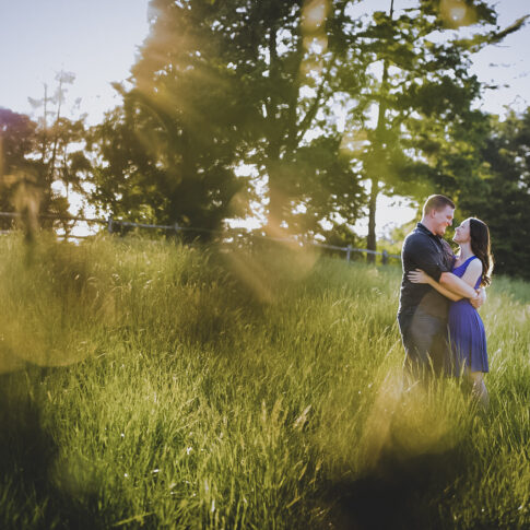 A engaged couple embraces in a grassy field as the warm sunlight beams into the lens of the camera.