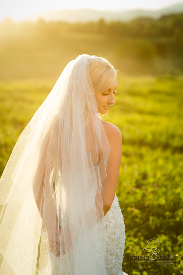 Bride looks away as the warm sunshine pours over her. 
