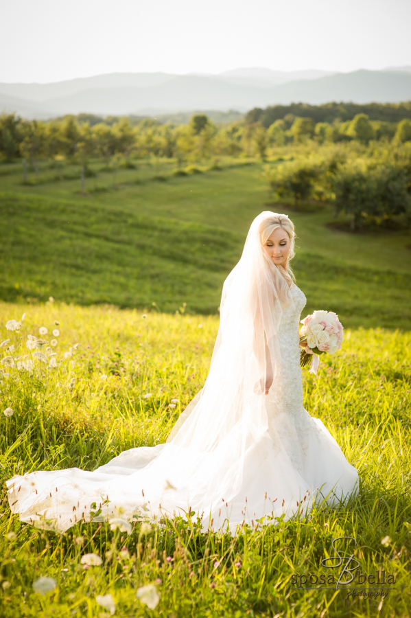 Sunshine lights up bridal veil in a scenic farm setting. 