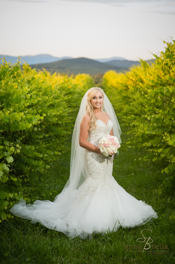 Bride stands in vineyard at Chattooga Belle Farm.