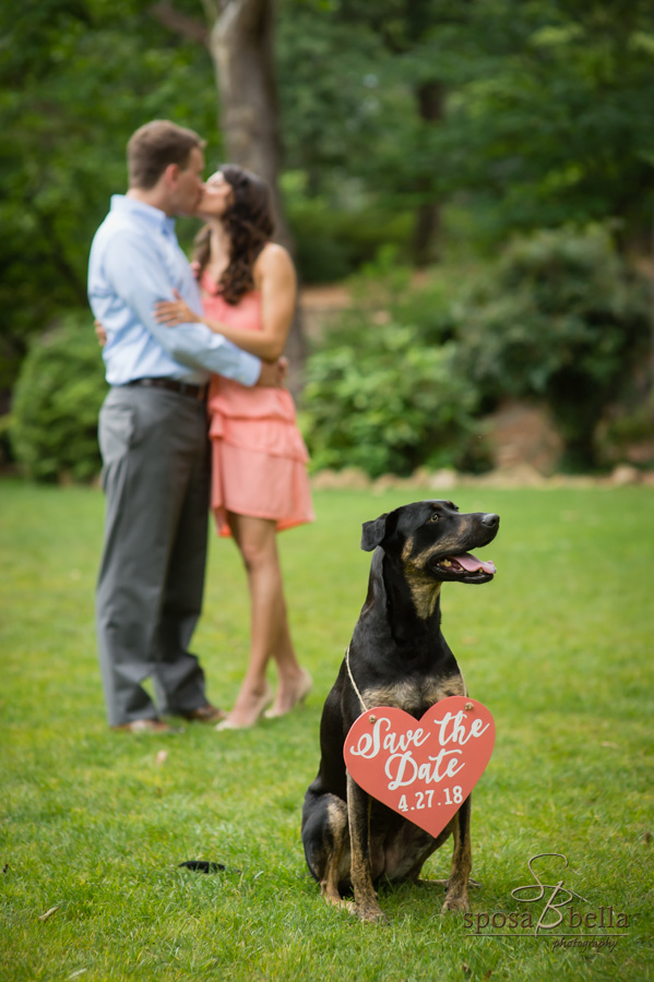 Fiancé's kiss in the background while the photo focuses on their dog with a sign announcing their wedding date. 